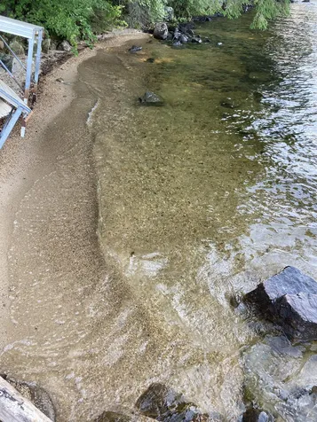 246 Whittemore Point Road Bridgewater NH 03222