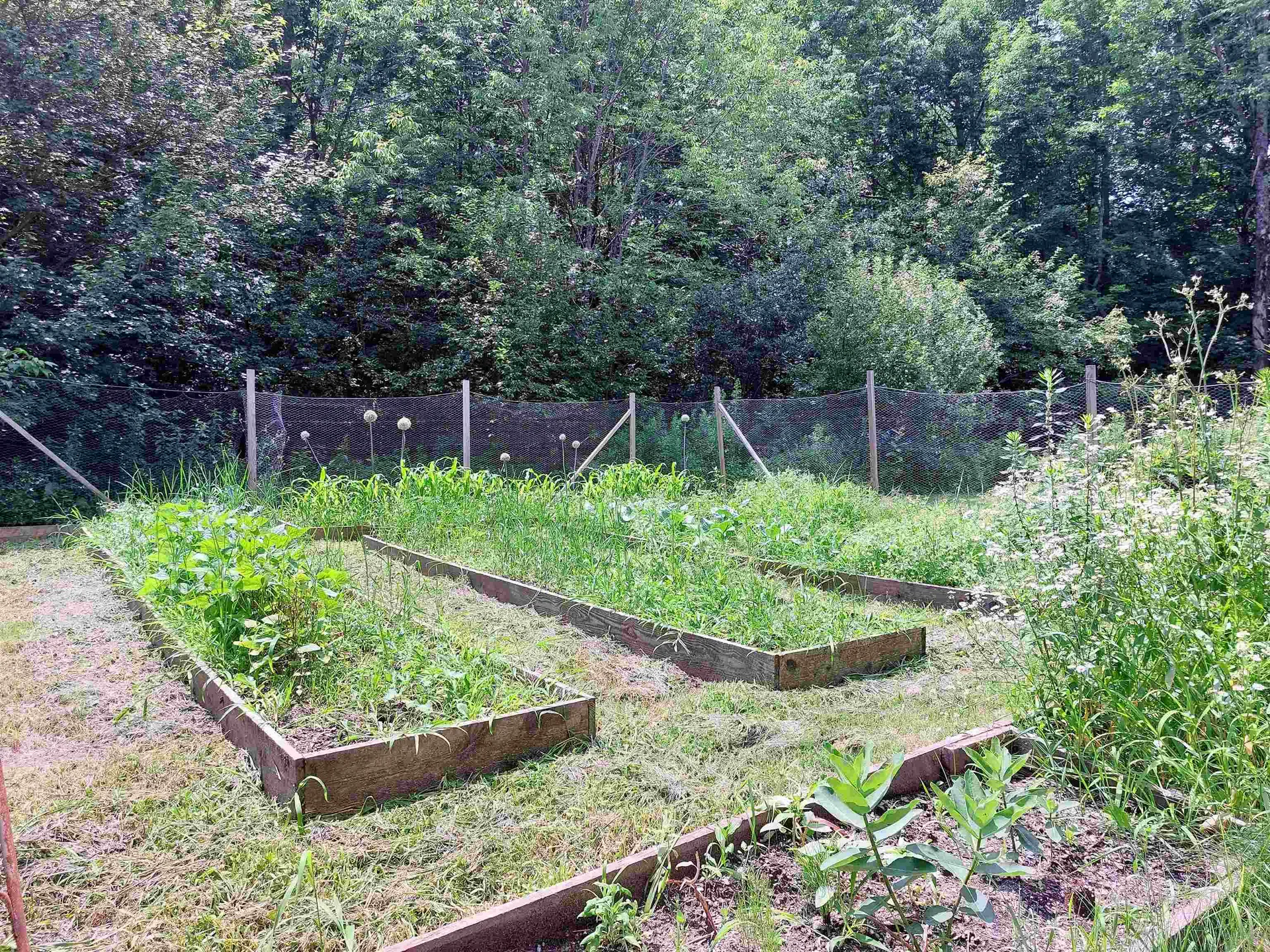 235 Marlow Hill Road Marlow NH 03456