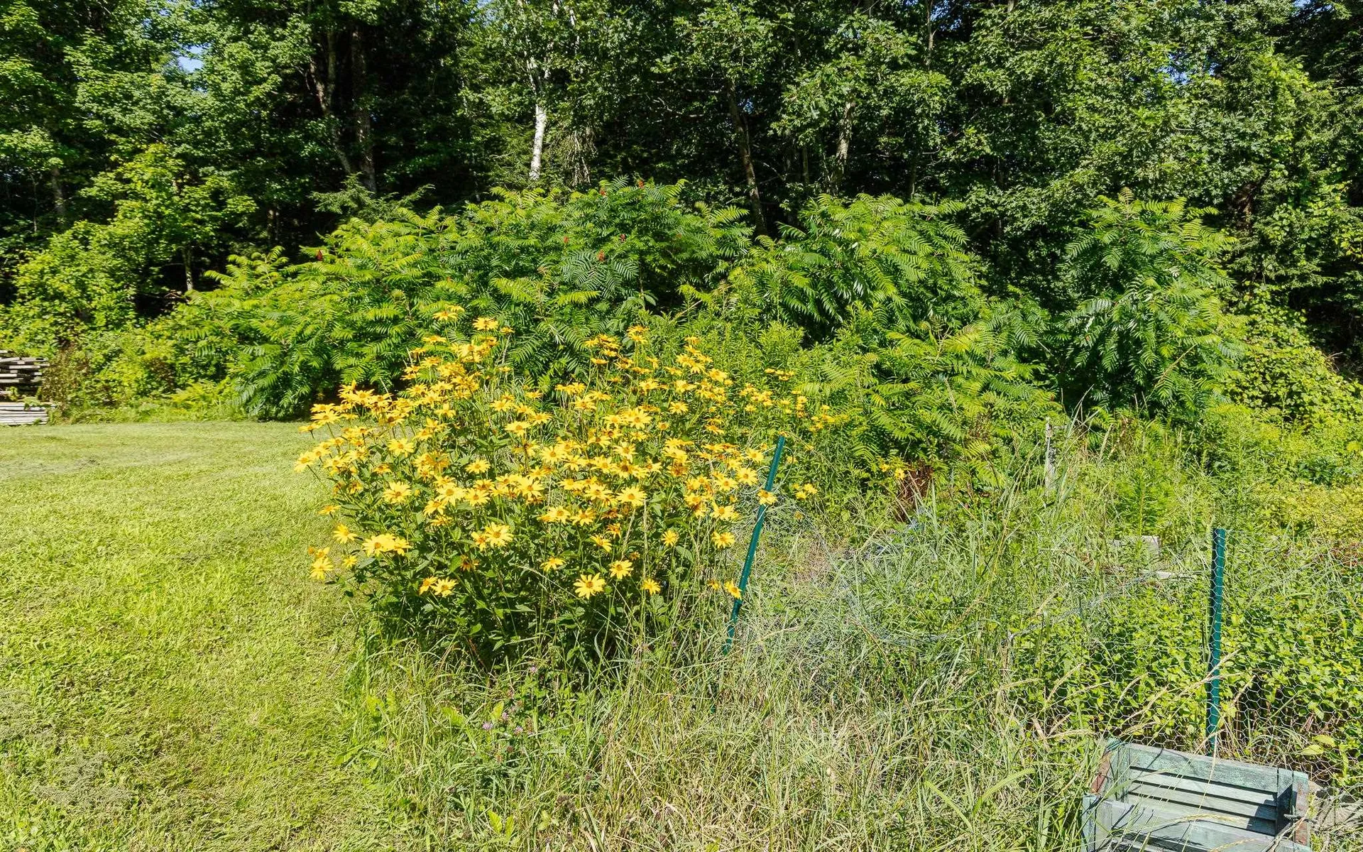 180 Grouse Road Charlestown NH 03603