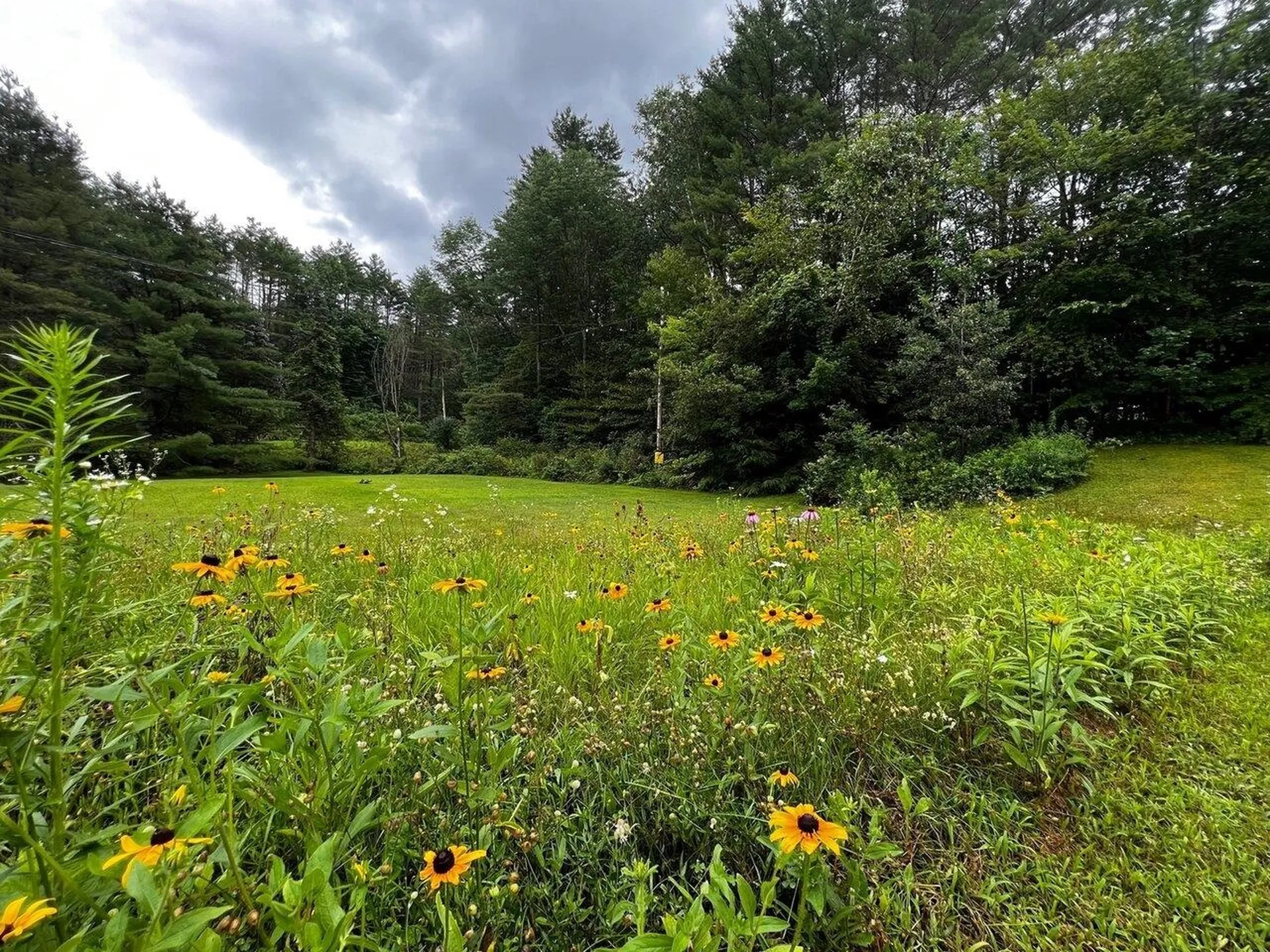 696 Creek Road Bethel VT 05032