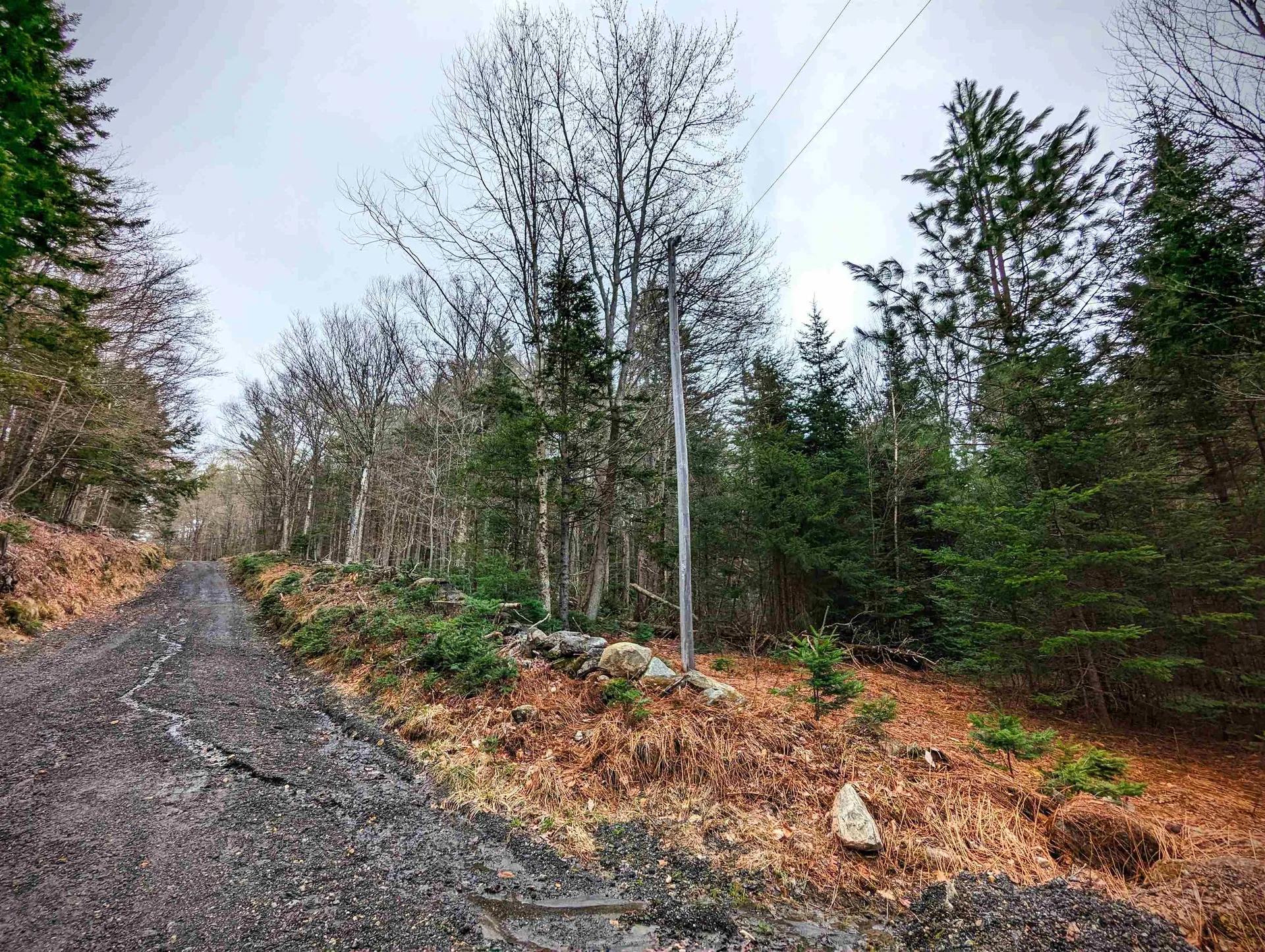 346 East Road Whitingham VT 05361