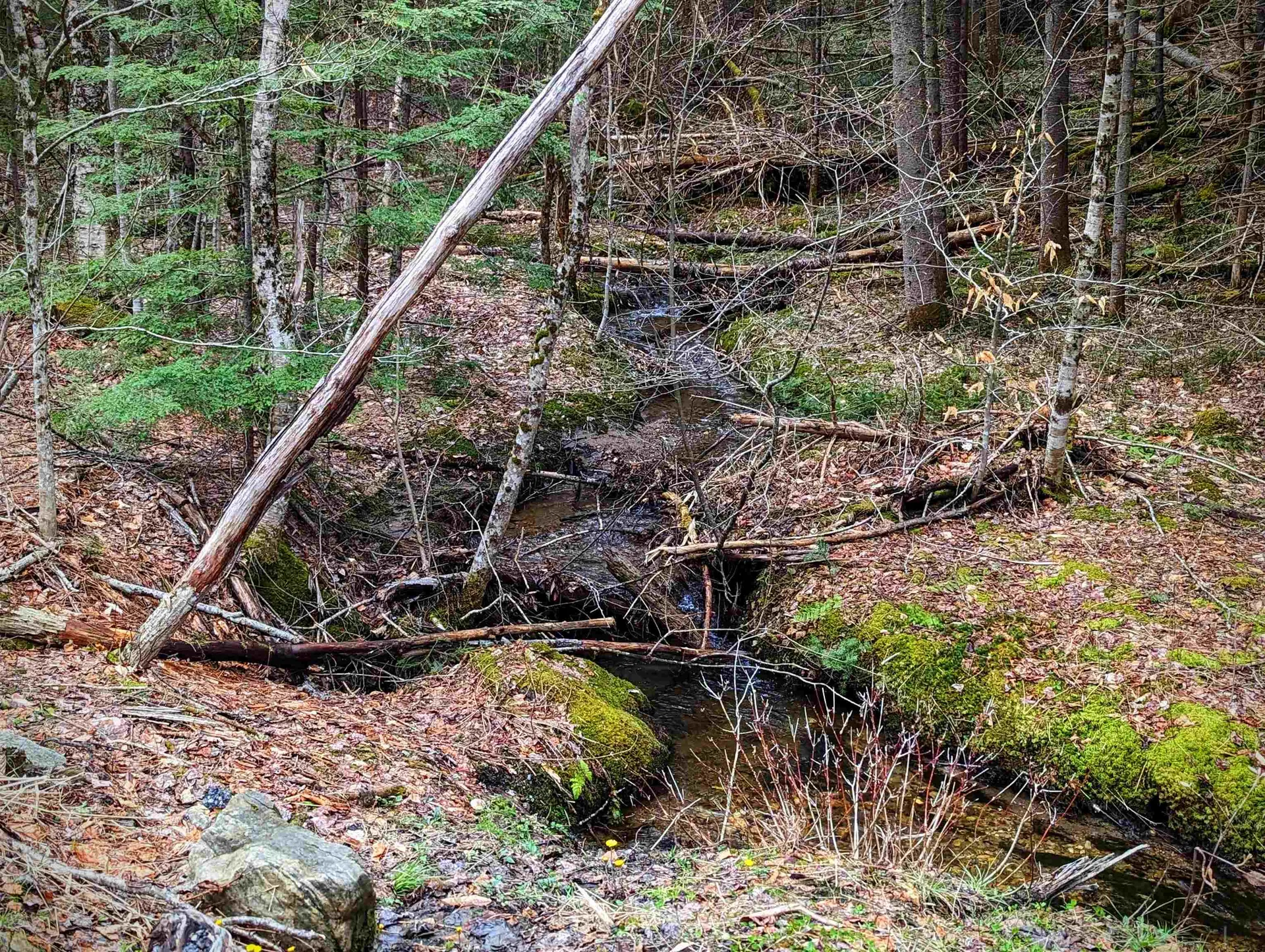 346 East Road Whitingham VT 05361