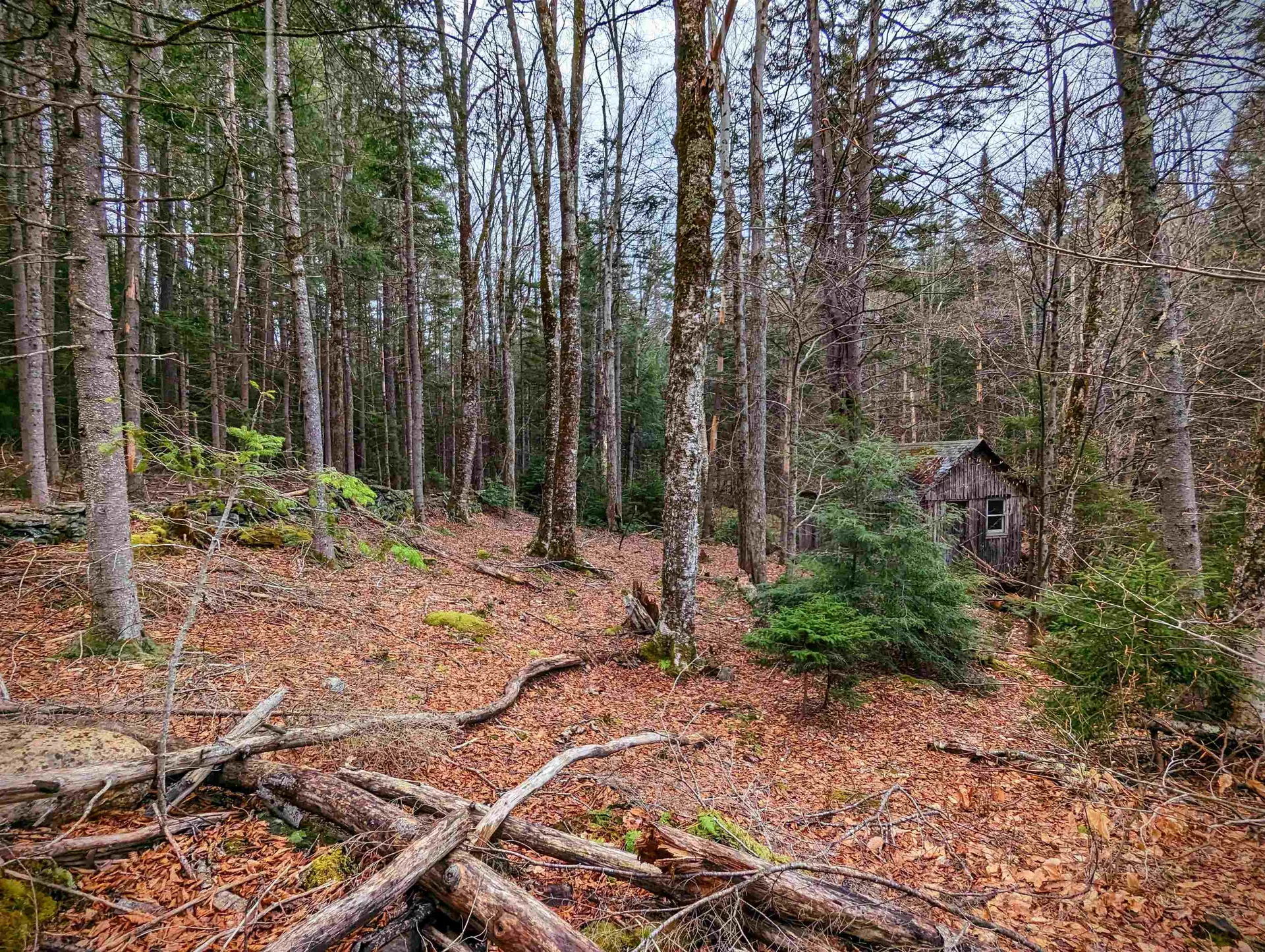 346 East Road Whitingham VT 05361