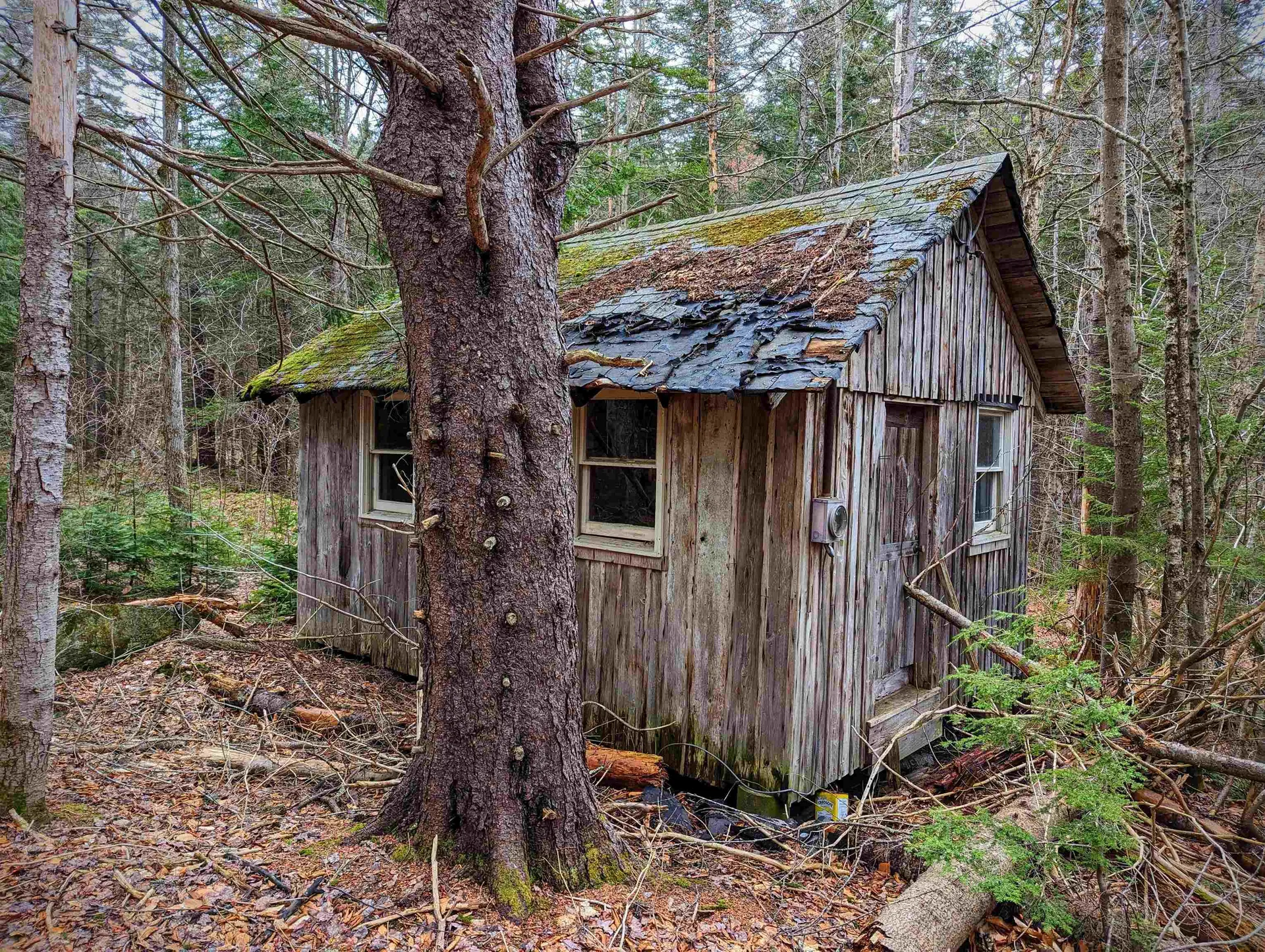 346 East Road Whitingham VT 05361