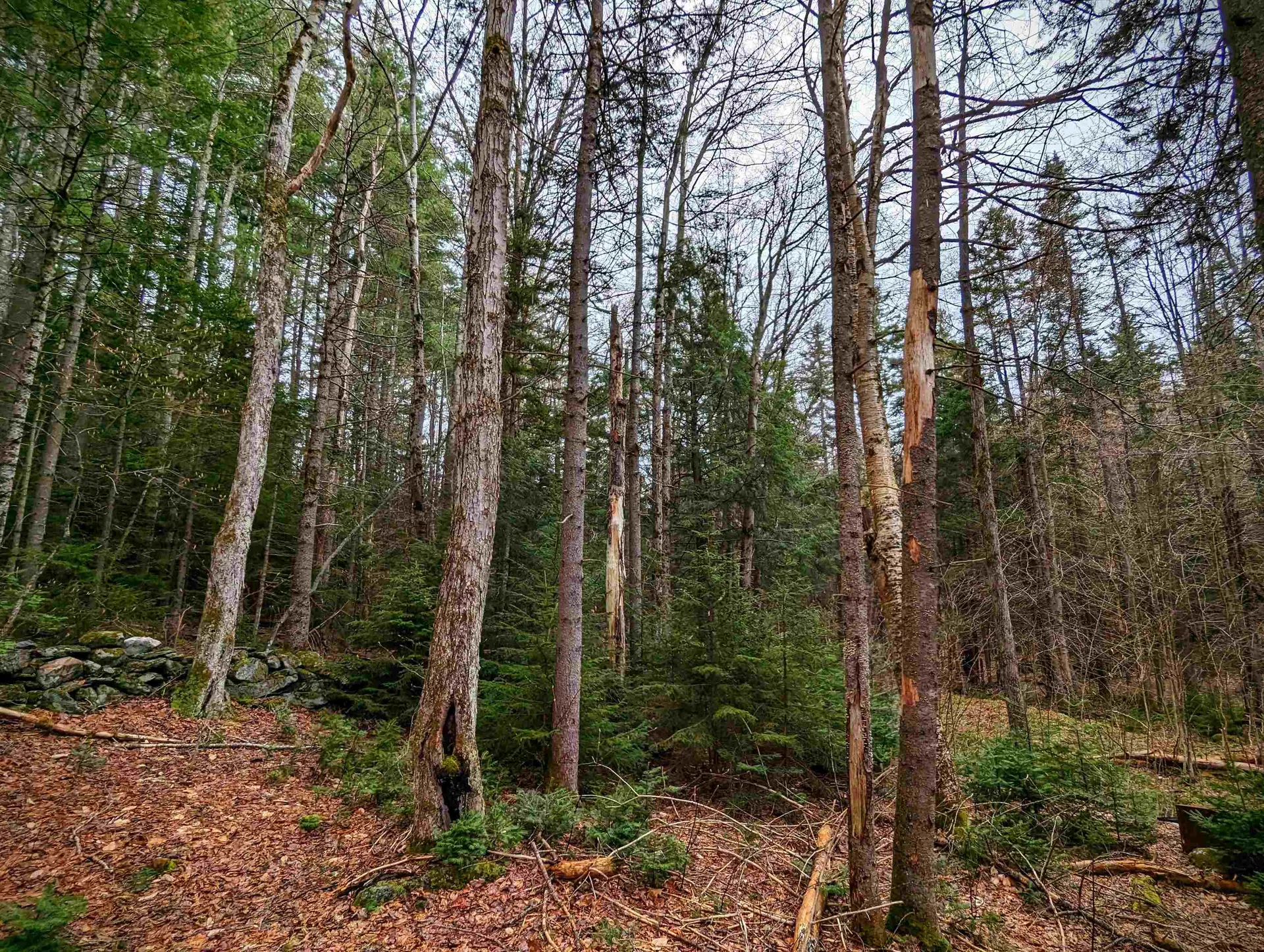 346 East Road Whitingham VT 05361