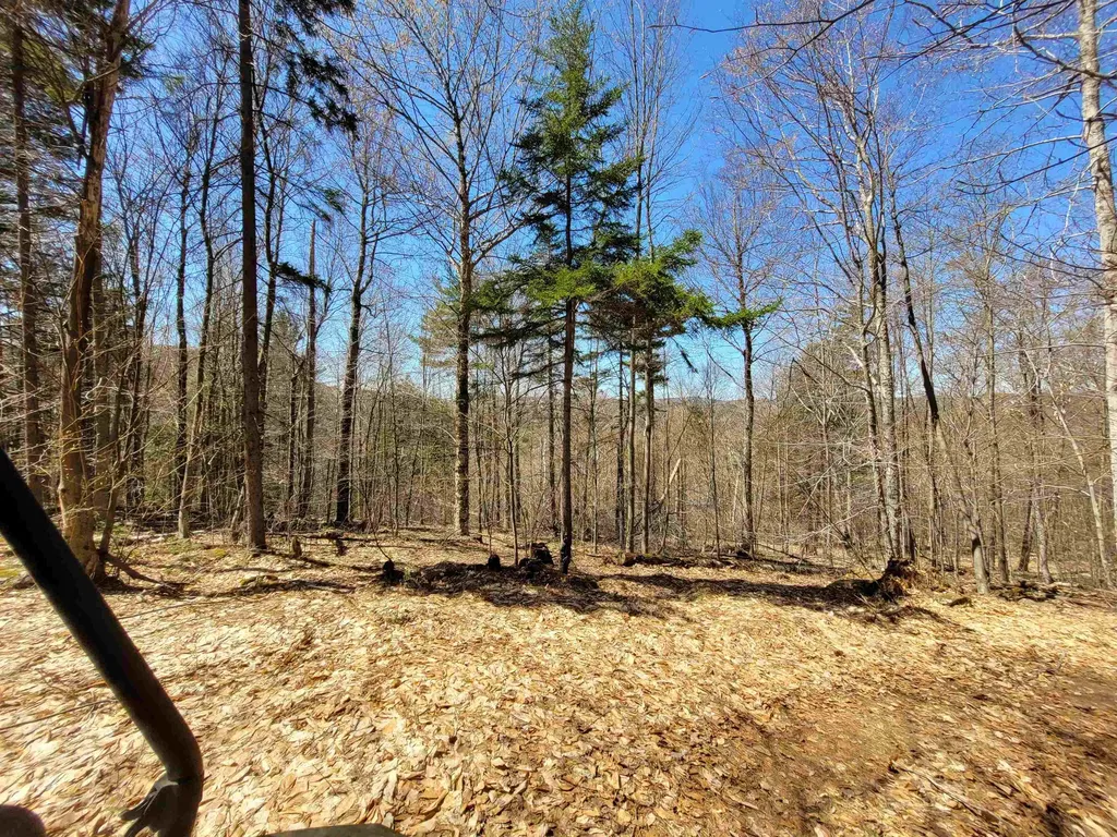 4600 Augur Hole Road Marlboro VT 05344