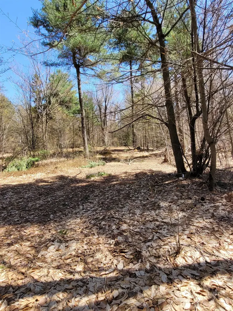 4600 Augur Hole Road Marlboro VT 05344