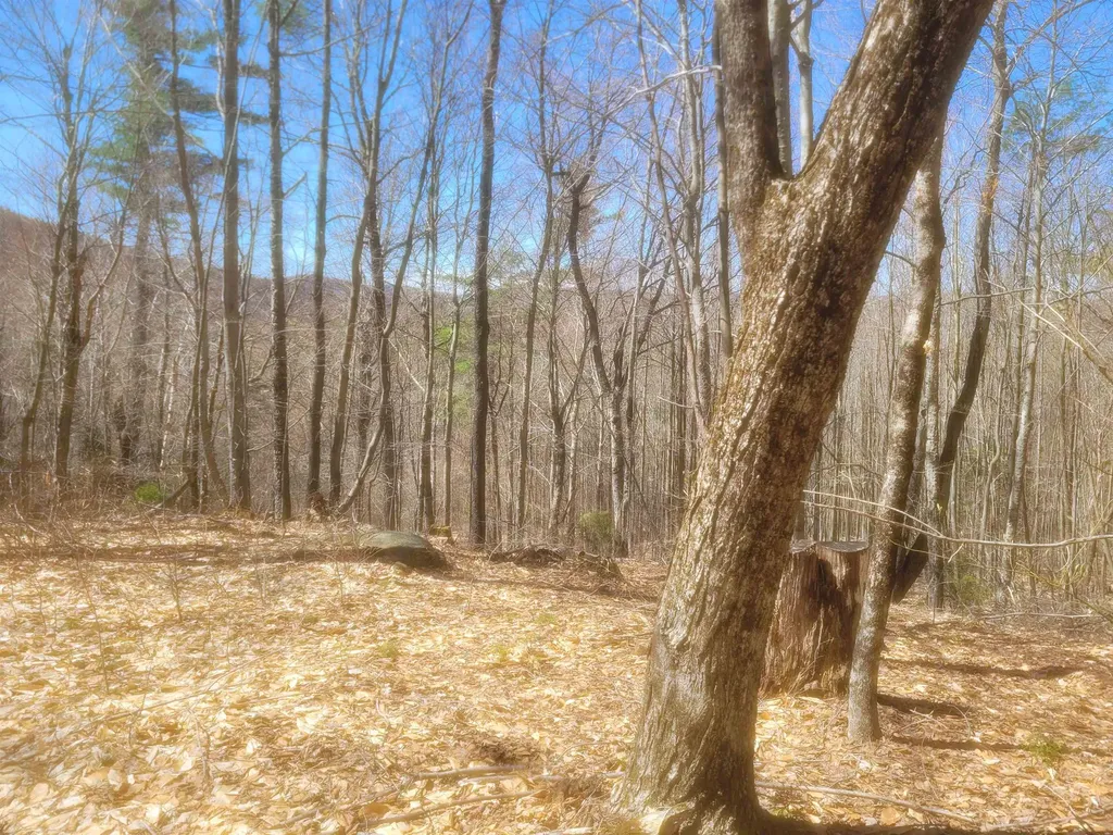 4600 Augur Hole Road Marlboro VT 05344