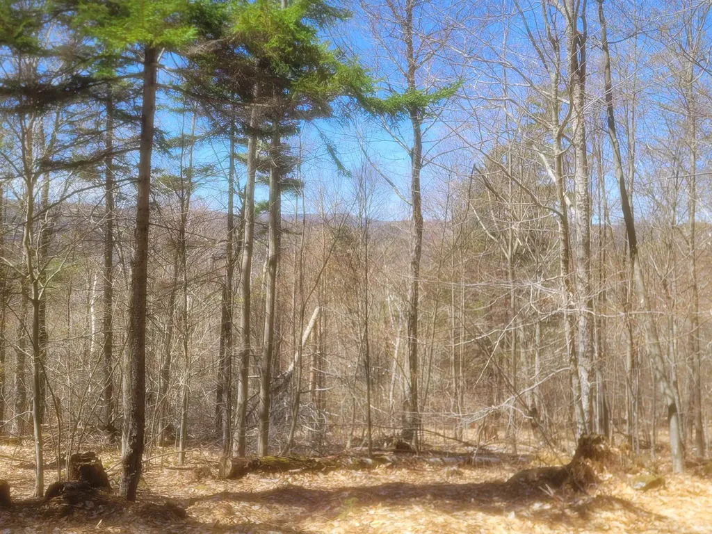 4600 Augur Hole Road Marlboro VT 05344