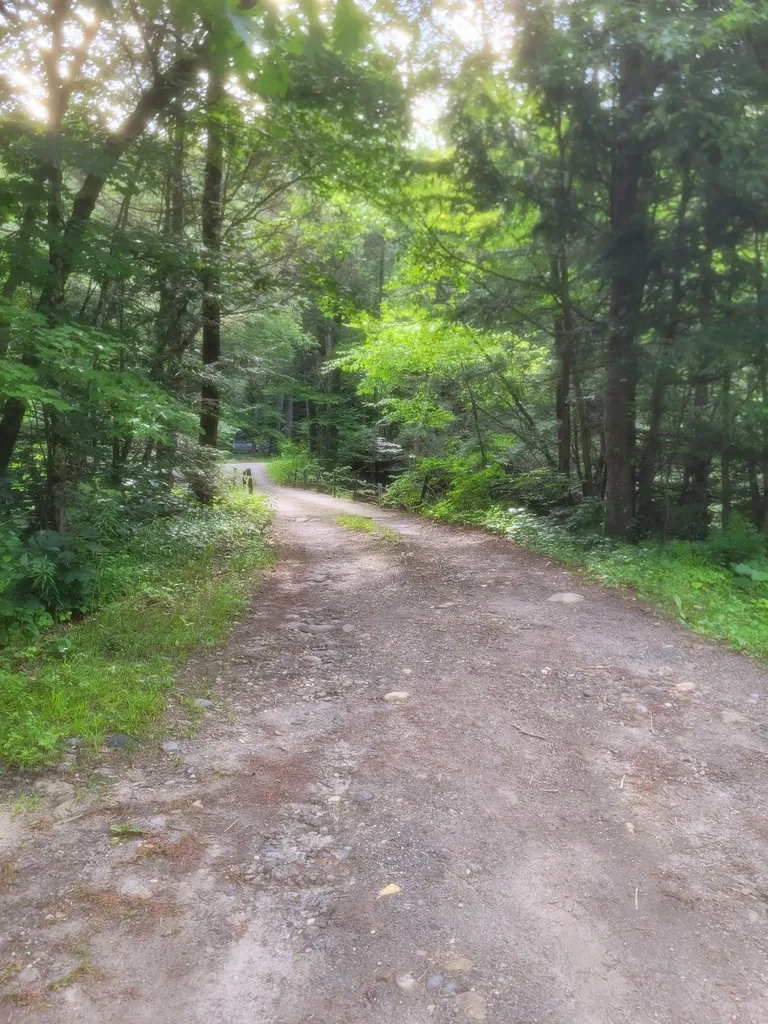 4600 Augur Hole Road Marlboro VT 05344