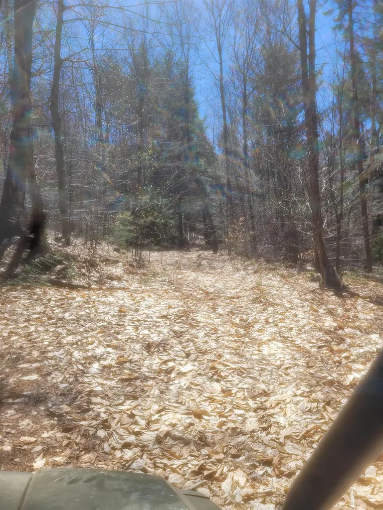 4600 Augur Hole Road Marlboro VT 05344