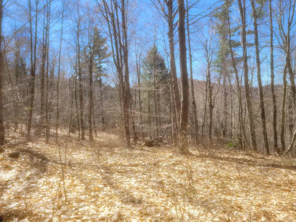 4600 Augur Hole Road Marlboro VT 05344