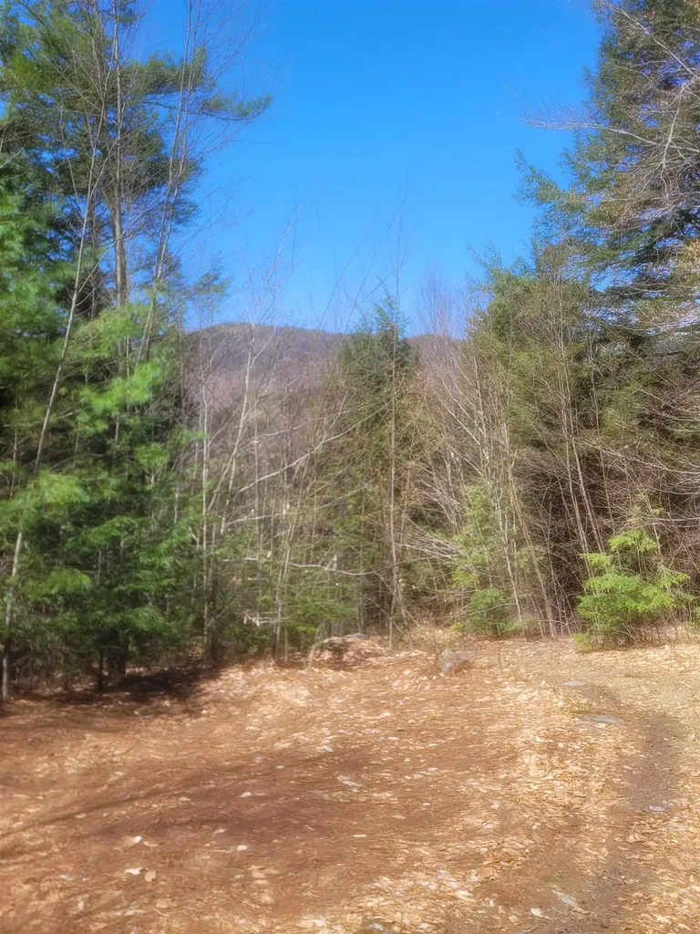 4600 Augur Hole Road Marlboro VT 05344