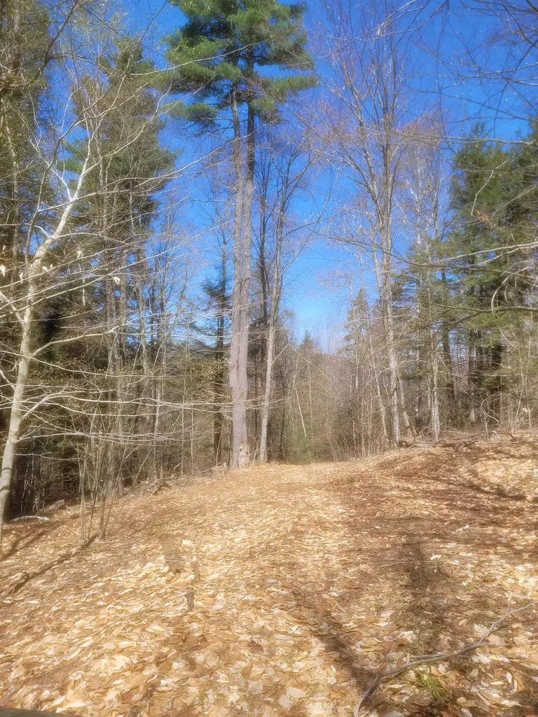 4600 Augur Hole Road Marlboro VT 05344