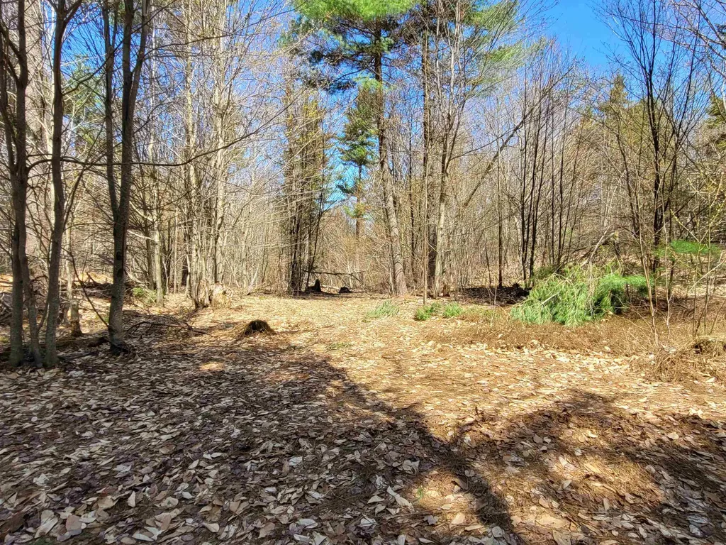 4600 Augur Hole Road Marlboro VT 05344