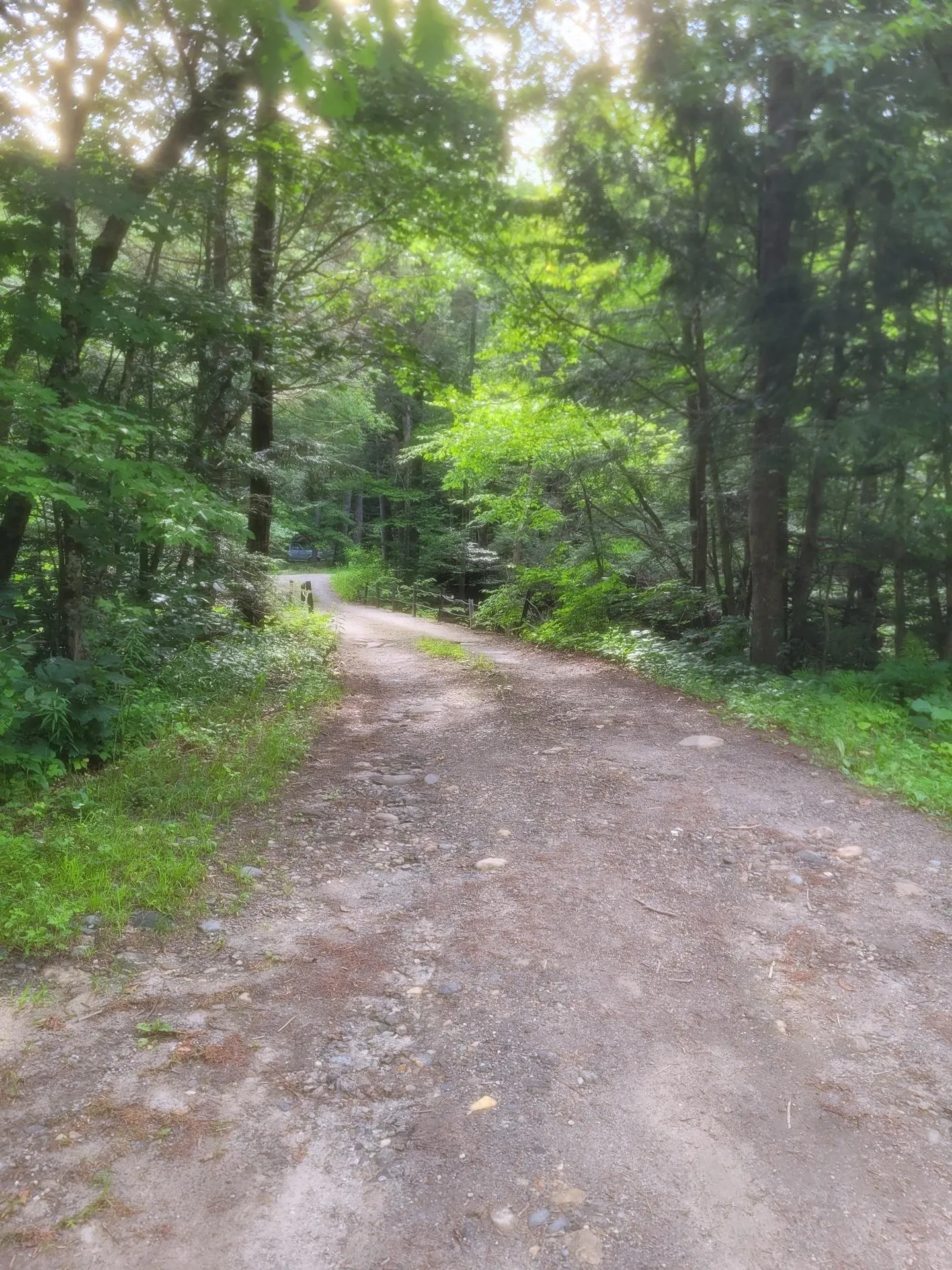 4600 Augur Hole Road Marlboro VT 05344