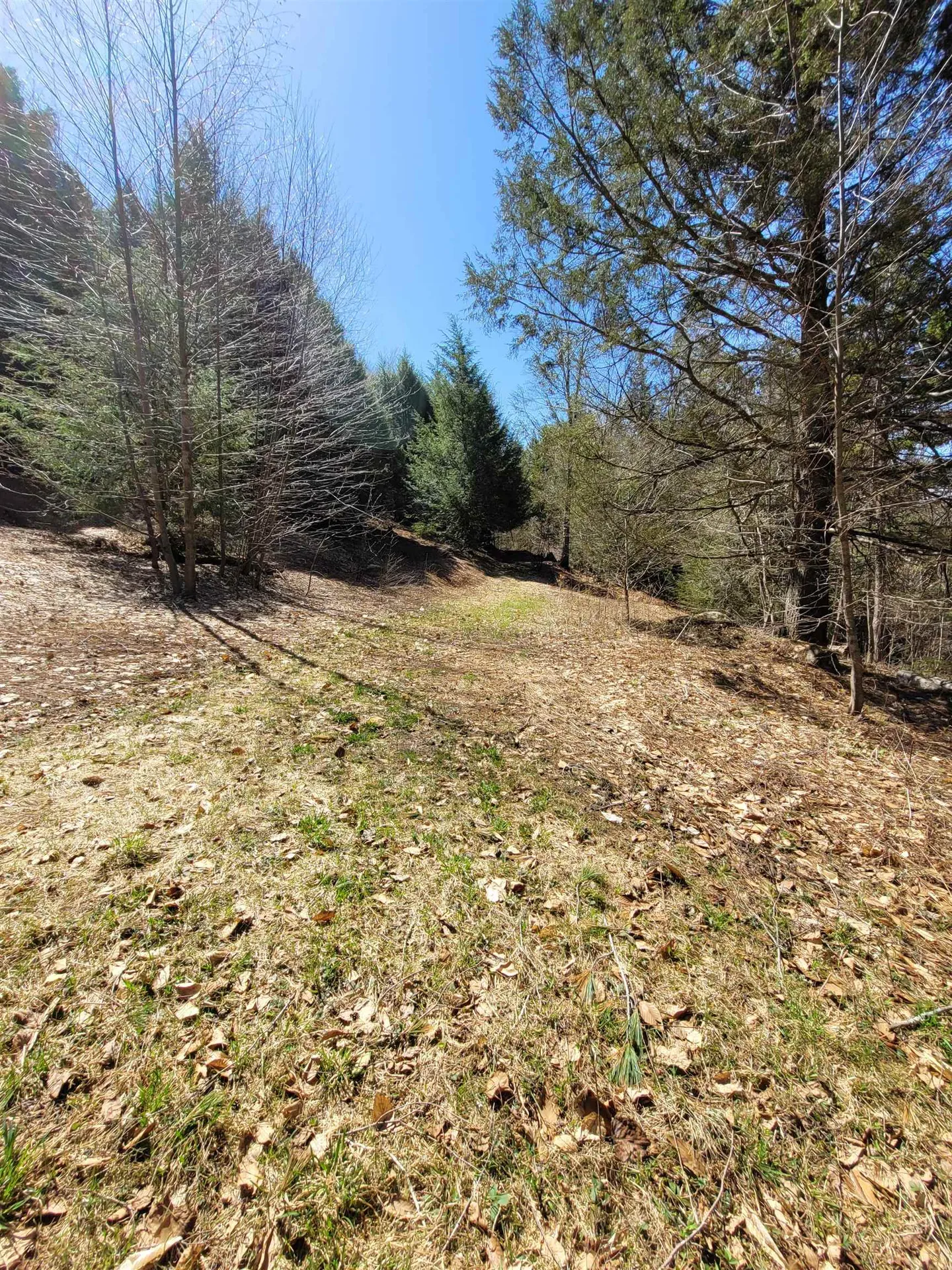 4600 Augur Hole Road Marlboro VT 05344