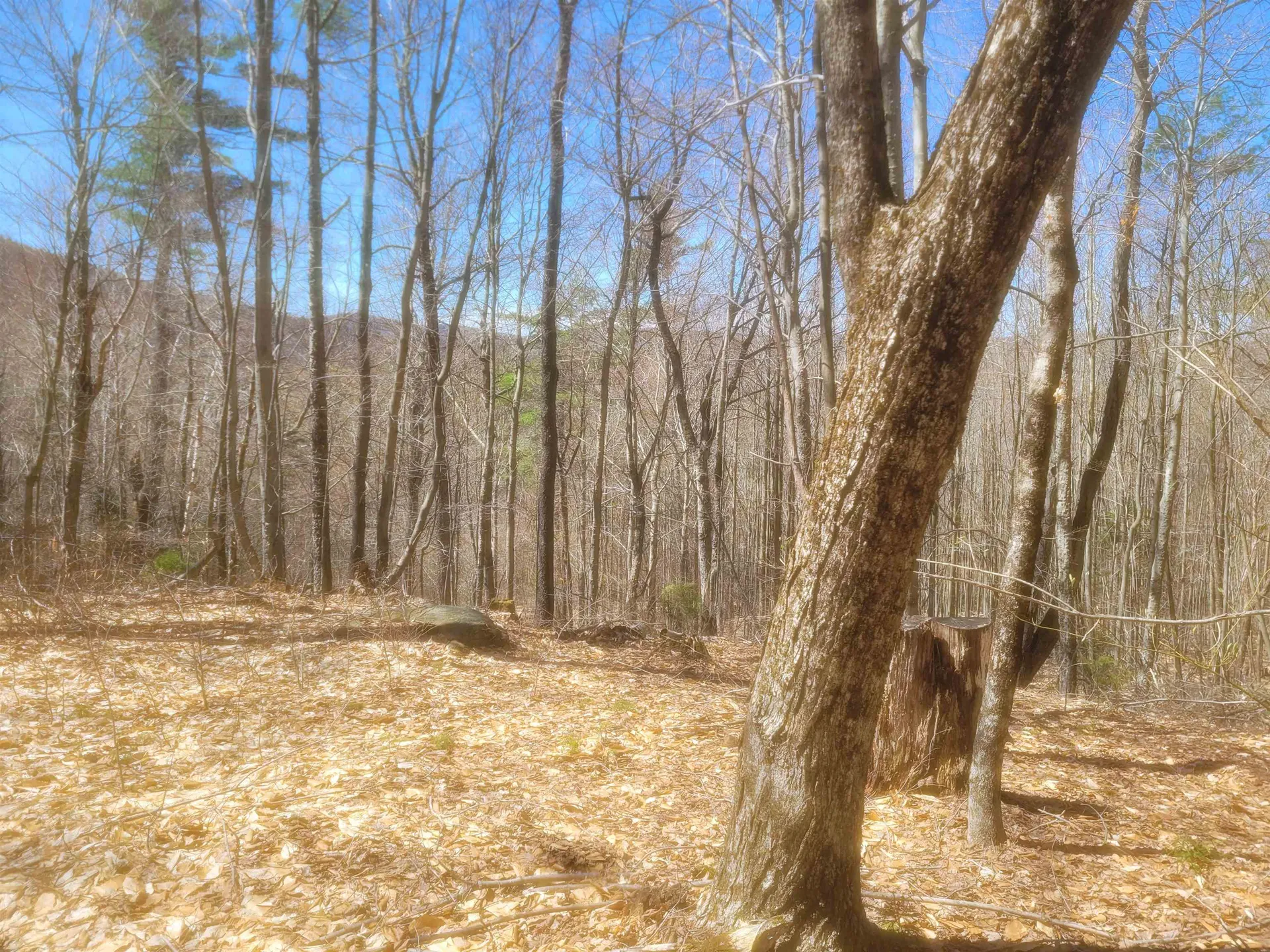 4600 Augur Hole Road Marlboro VT 05344