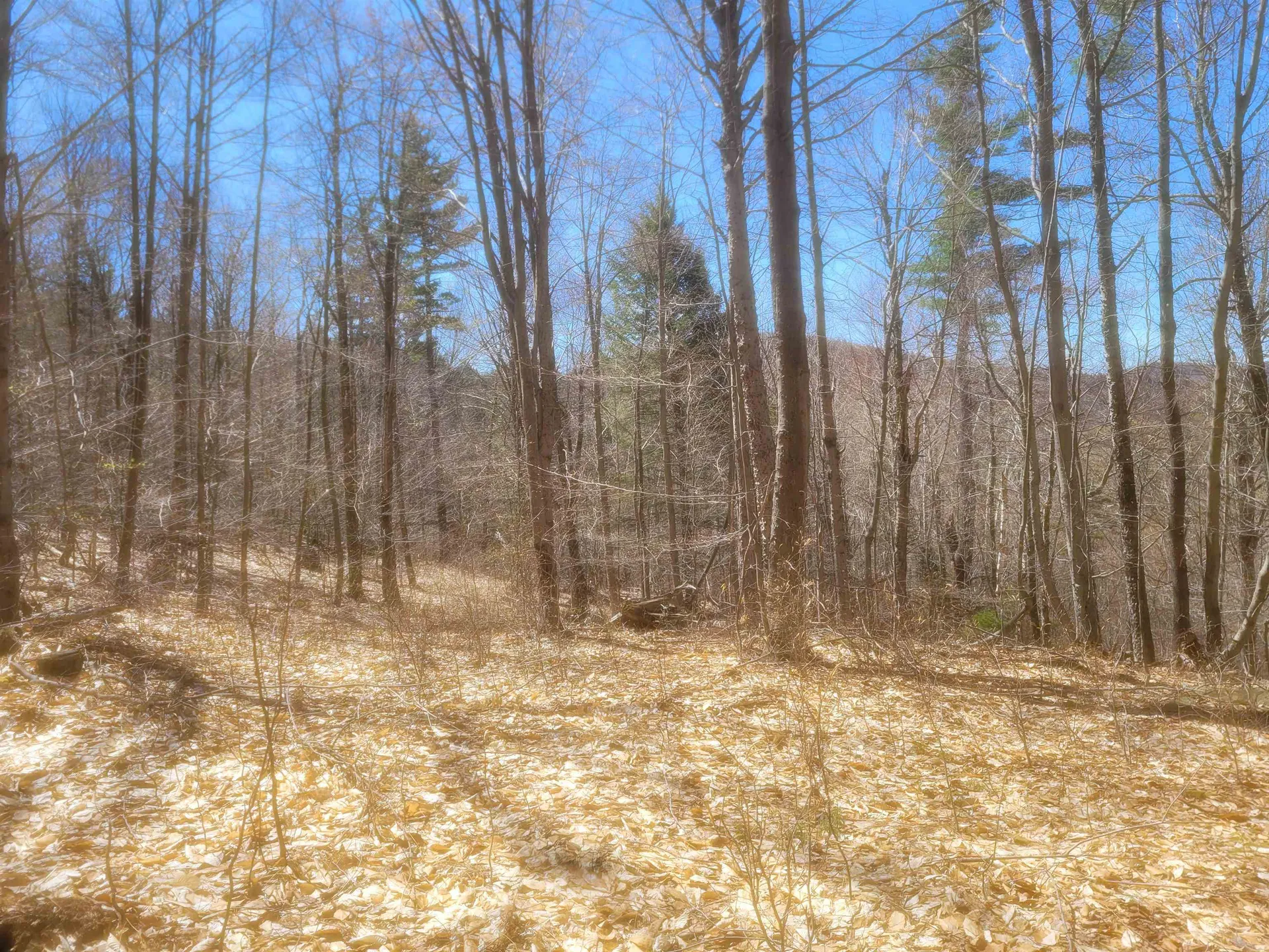 4600 Augur Hole Road Marlboro VT 05344