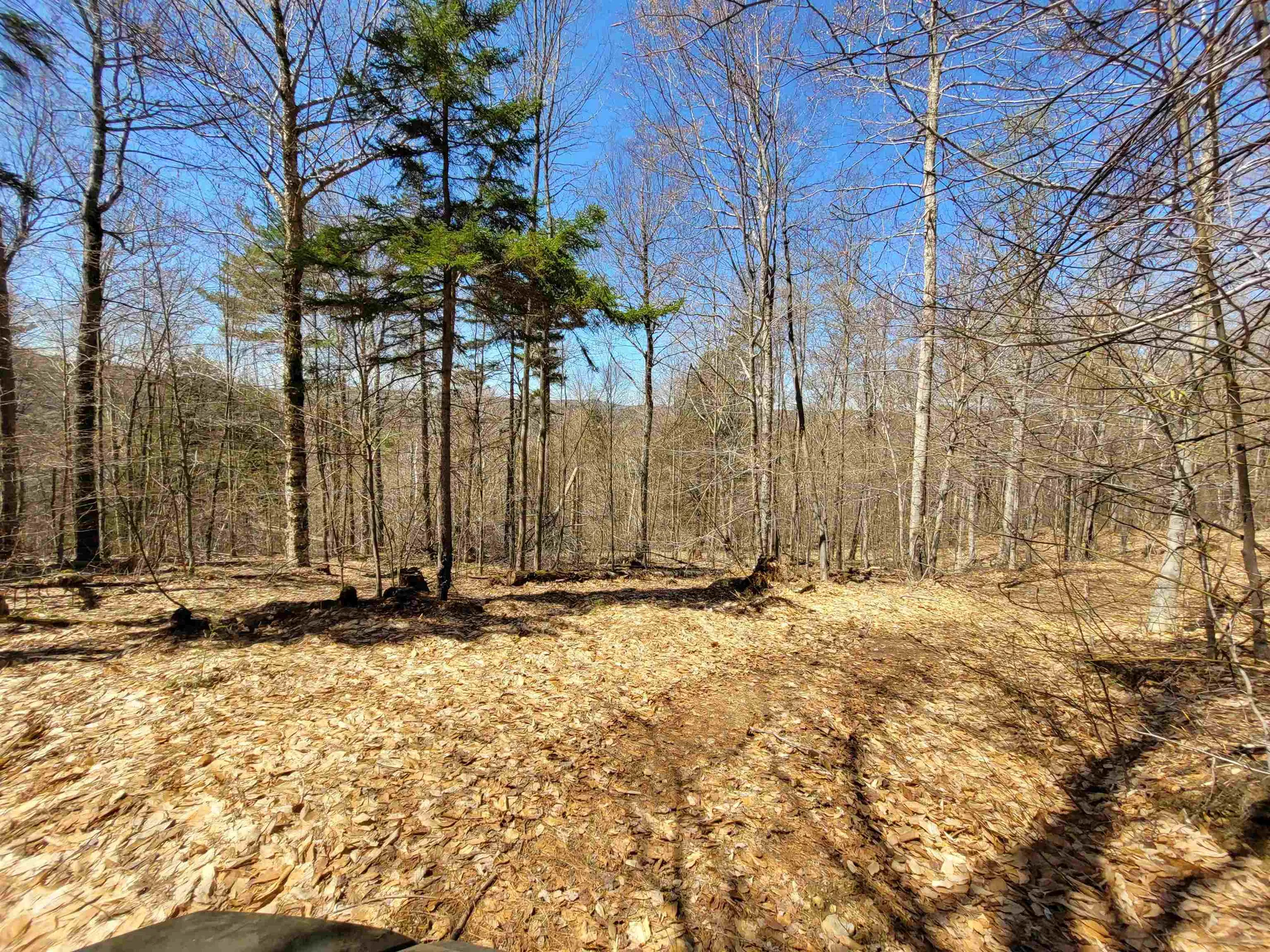 4600 Augur Hole Road Marlboro VT 05344