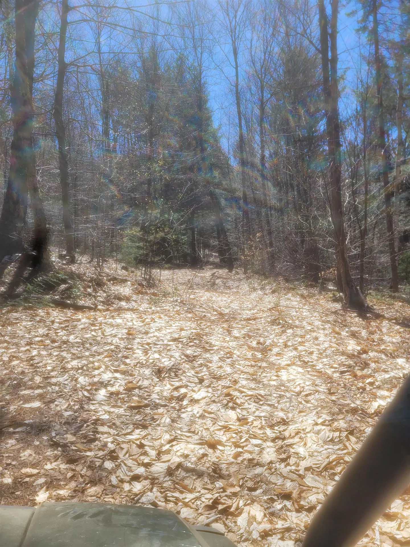 4600 Augur Hole Road Marlboro VT 05344