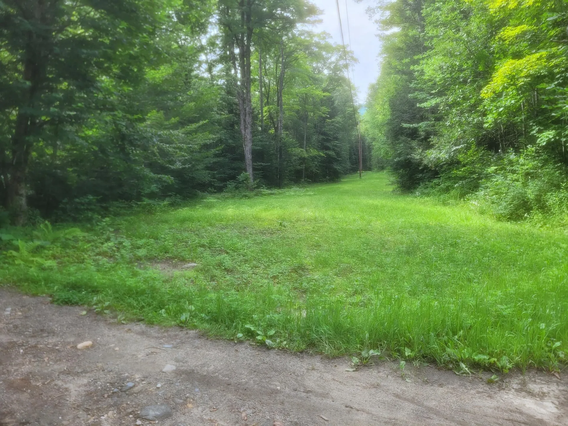 4600 Augur Hole Road Marlboro VT 05344