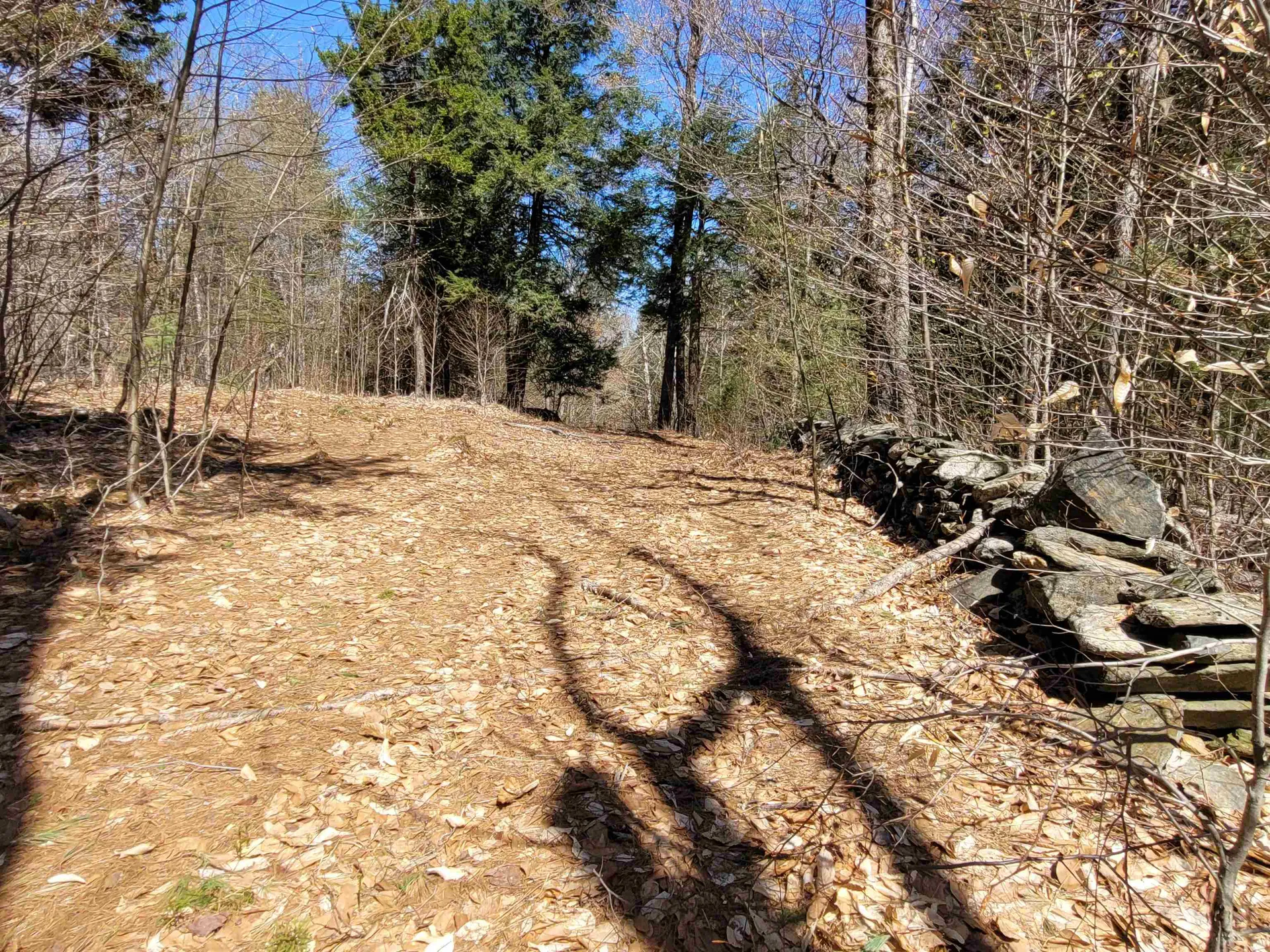 4600 Augur Hole Road Marlboro VT 05344