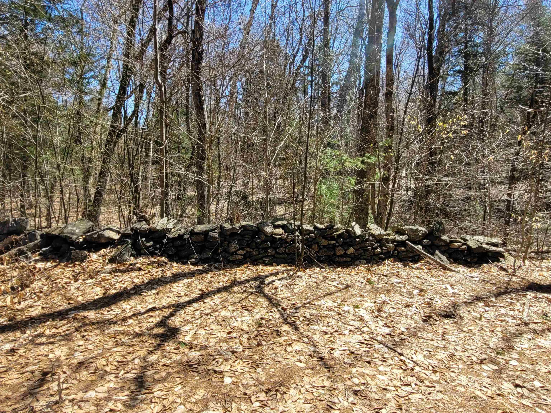 4600 Augur Hole Road Marlboro VT 05344