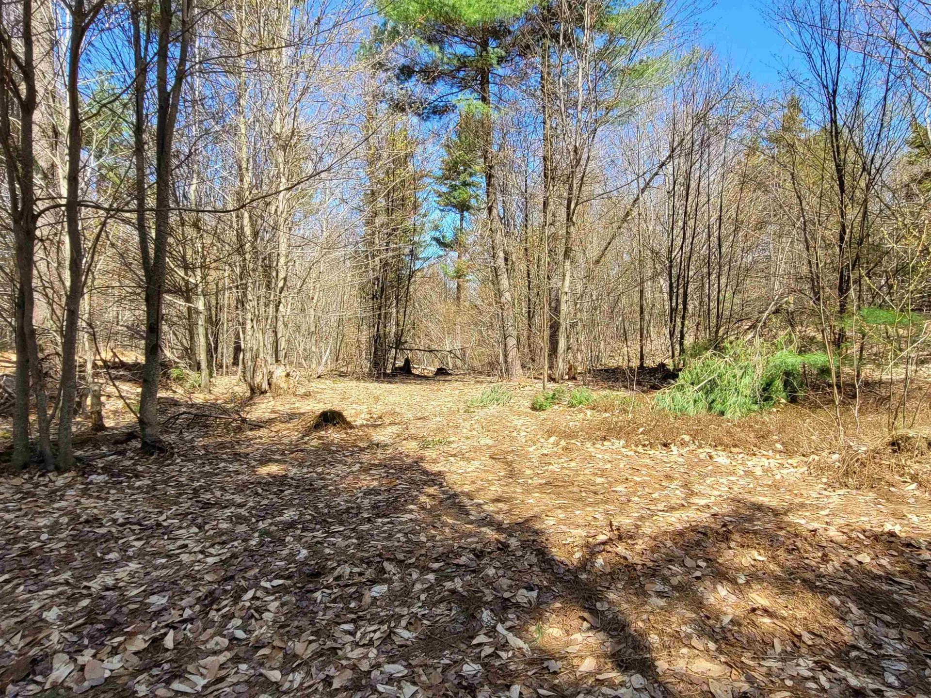 4600 Augur Hole Road Marlboro VT 05344