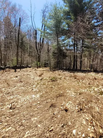 4600 Augur Hole Road Marlboro VT 05344