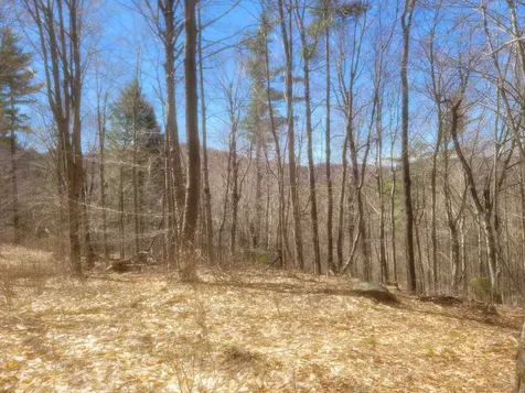 4600 Augur Hole Road Marlboro VT 05344