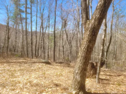 4600 Augur Hole Road Marlboro VT 05344