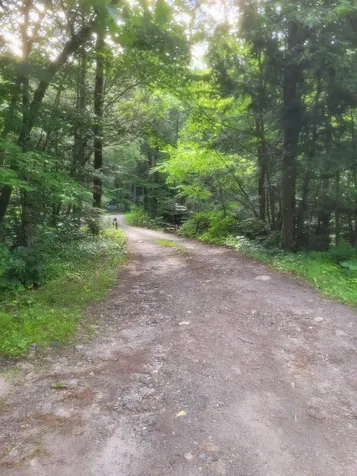 4600 Augur Hole Road Marlboro VT 05344