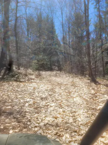 4600 Augur Hole Road Marlboro VT 05344