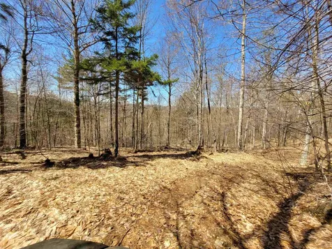 4600 Augur Hole Road Marlboro VT 05344