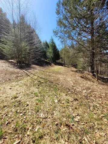 4600 Augur Hole Road Marlboro VT 05344