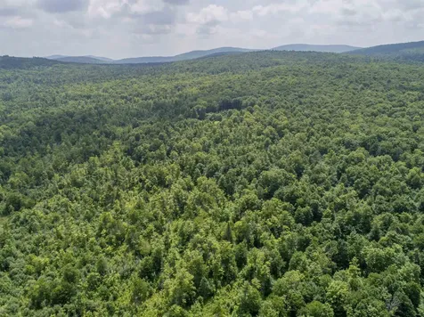 Lot 16 Deadwater Road Stewartstown NH 03576