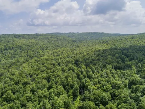 Lot 16 Deadwater Road Stewartstown NH 03576