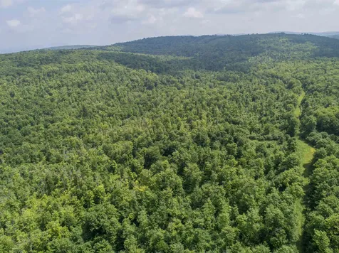 Lot 16 Deadwater Road Stewartstown NH 03576