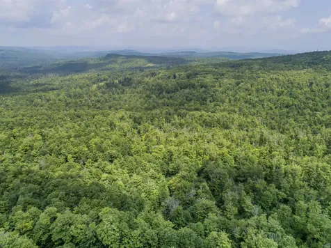 Lot 16 Deadwater Road Stewartstown NH 03576