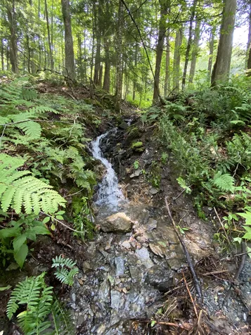 125 Brownsville Road Hartland VT 05048
