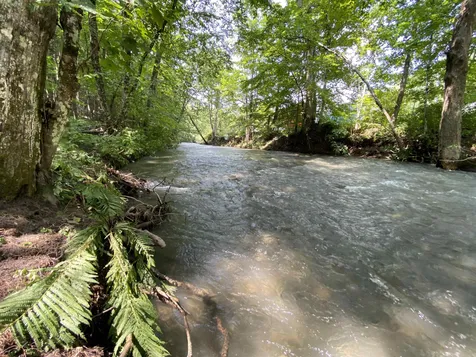 125 Brownsville Road Hartland VT 05048