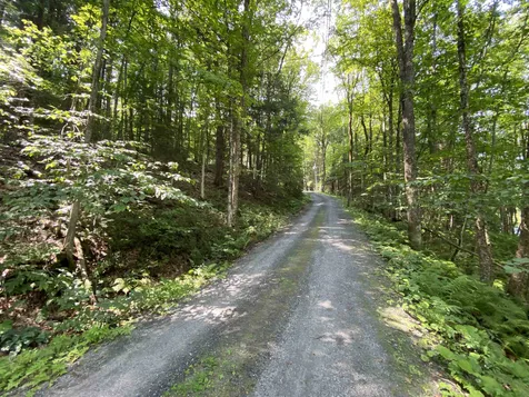 125 Brownsville Road Hartland VT 05048