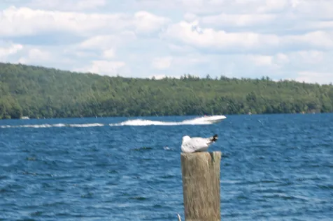 33 Yachtsmans Ridge Laconia NH 03246