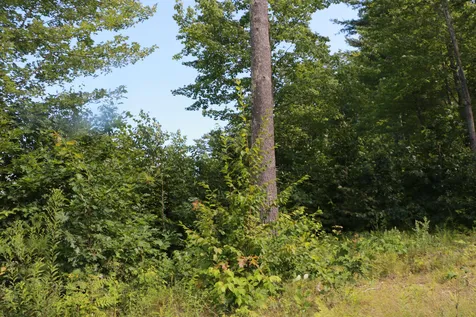 33 Yachtsmans Ridge Laconia NH 03246