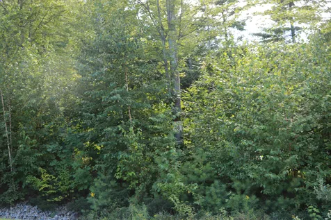 33 Yachtsmans Ridge Laconia NH 03246