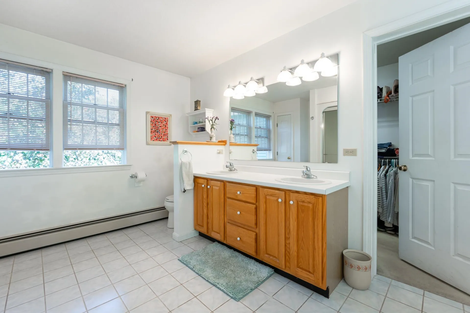 21 Chestnut Hill Road Amherst NH 03031