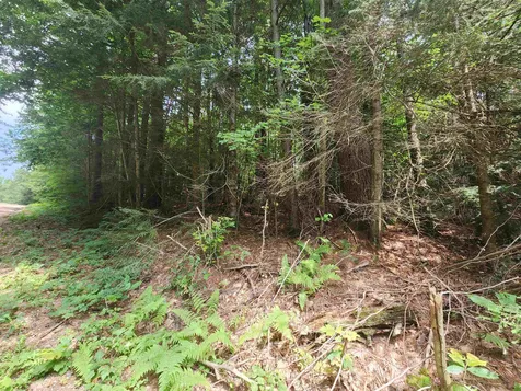 Lot #180 Kinsman Road Haverhill NH 03765