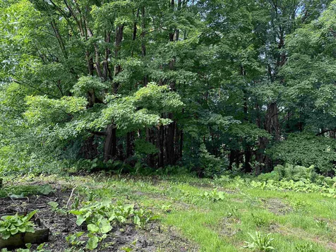 4878 Monkton Road Monkton VT 05472