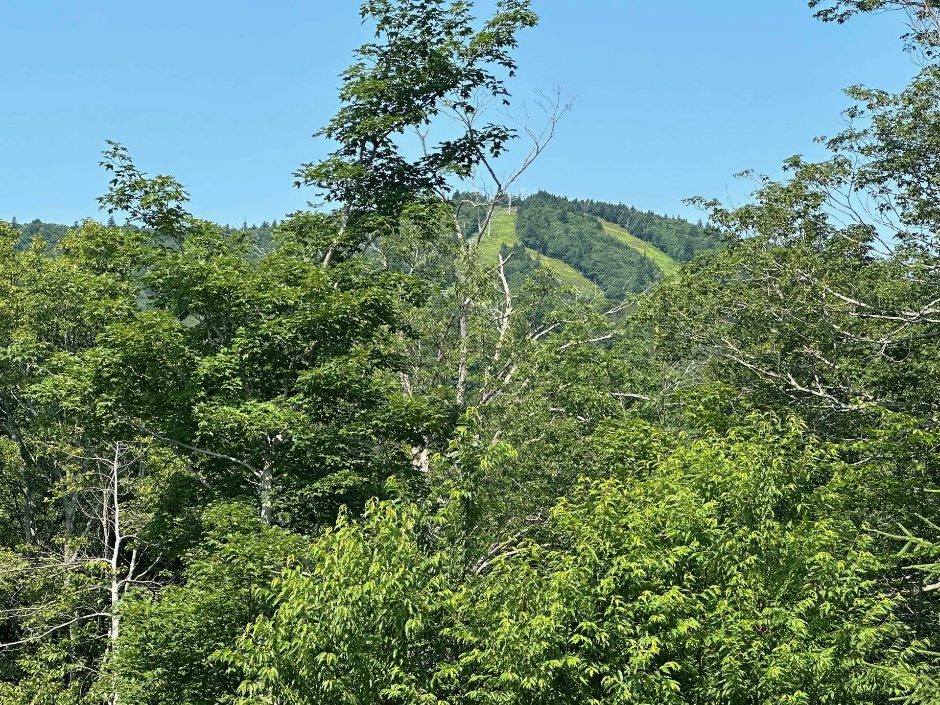 27 Stags Leap Lane Wilmington VT 05363